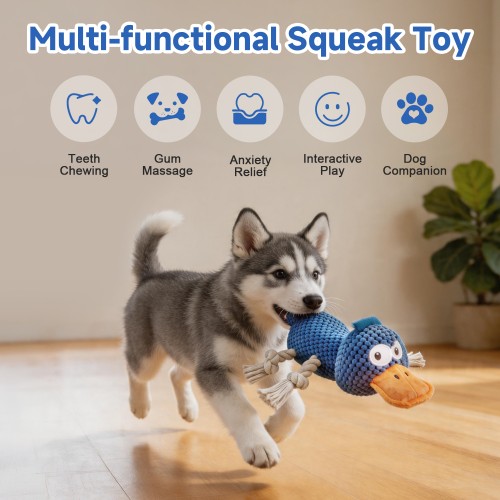 Ckin pet Squeaky Dog Toys, Interactive Duck Dog Toy for Small Medium Dogs, Puppy Teething Toys with Crinkle Sound, Soft Plush Toy for Indoor Outdoor Play - Blue Duck