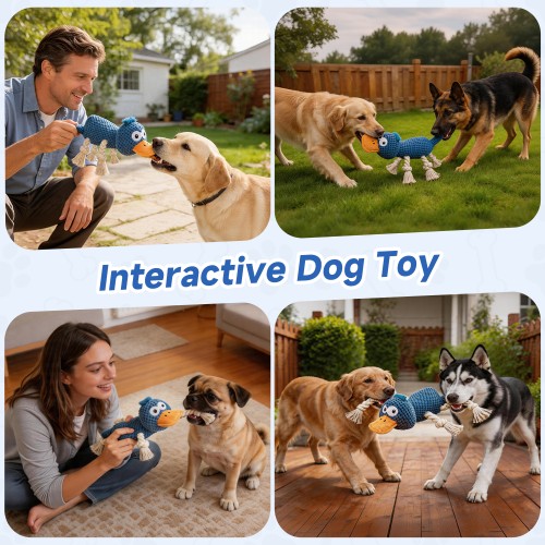 Ckin pet Squeaky Dog Toys, Interactive Duck Dog Toy for Small Medium Dogs, Puppy Teething Toys with Crinkle Sound, Soft Plush Toy for Indoor Outdoor Play - Blue Duck